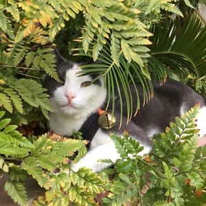 Meet your Posher, Irwin